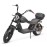 Madat Rooley E Roller Elektroroller E Chopper Elektrochopper mit 100 km reichweite bis 45 km/h 40 Ah Akku 100-120 km (ohne Heckbox)