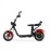 DAYI E Gen 4.0AL E Scooter E Roller Elektroroller mit 100 km reichweite 45Km/h 40Ah Doppelbatterie 95-105Km ohne Kofferraum und Seitentasche